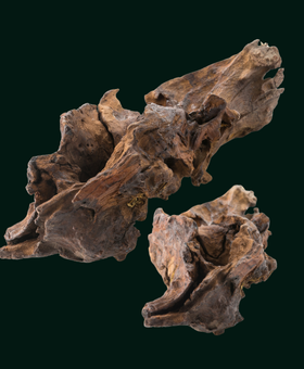fluid 280 x 320 2